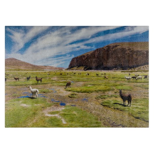 Bergen | Boliviaanse Andes Snijplank (Voorkant)