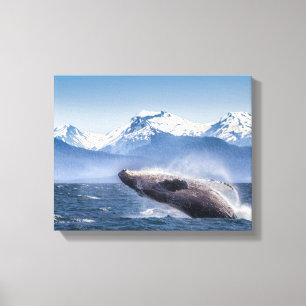 Bergen Breach Whale Glacier Bay, Alaska Canvas Afdruk
