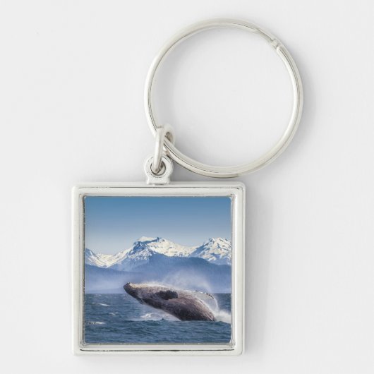 Bergen | Breach Whale Glacier Bay, Alaska Sleutelhanger (Voorkant)