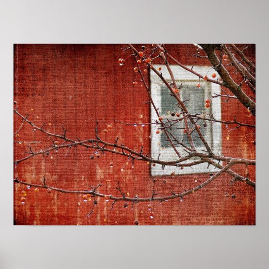 Bergen en Barn Poster (Voorkant)