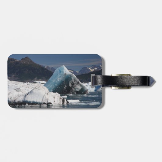 bergen en ijs in Alaska Bagagelabel (Achterkant horizontaal)