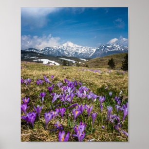 Bergen en snijbloemen op Velika Planina, Sl Poster