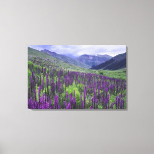 Bergen en wilde bloemen in alpenwei, 2 canvas afdruk