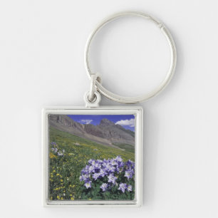 Bergen en wilde bloemen in alpiene weide, Blauw Sleutelhanger