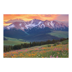 Bergen en Wilde Bloemen Print Colorado Foto Afdruk