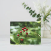 Bergen in de Berg Briefkaart (Staand voorkant)