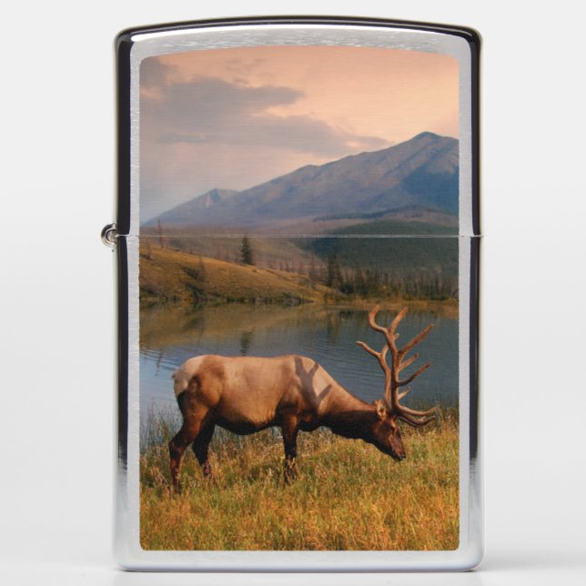 Bergen | Jacques Mountain Range Alberta Canada (Voorkant)