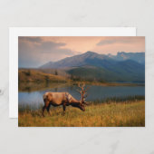 Bergen | Jacques Mountain Range Alberta Canada Bedankkaart (Voorkant / Achterkant)