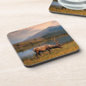 Bergen | Jacques Mountain Range Alberta Canada Bier Onderzetter (Linkerzijde)