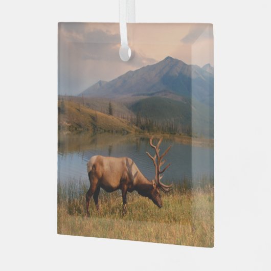 Bergen | Jacques Mountain Range Alberta Canada Glas Ornament (Voorkant links)