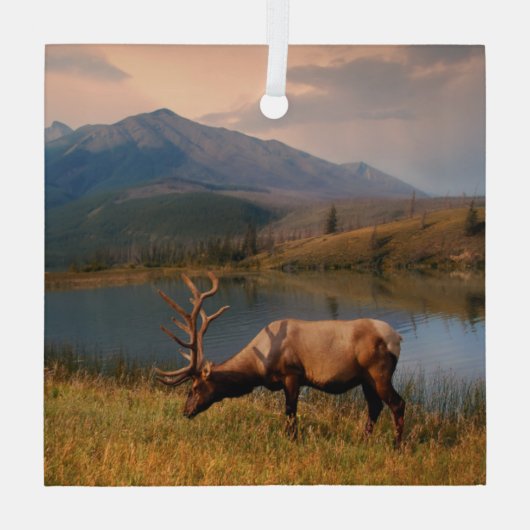 Bergen | Jacques Mountain Range Alberta Canada Glas Ornament (Achterkant)