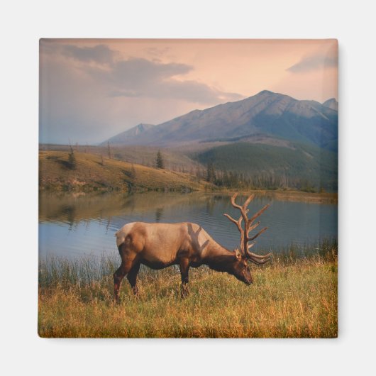 Bergen | Jacques Mountain Range Alberta Canada Magneet (Voorkant)