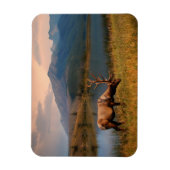 Bergen | Jacques Mountain Range Alberta Canada Magneet (Verticaal)