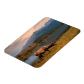 Bergen | Jacques Mountain Range Alberta Canada Magneet (Linkerzijde)