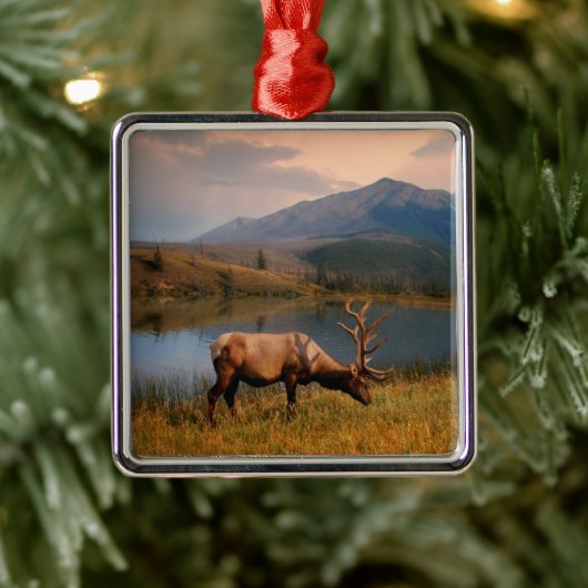 Bergen | Jacques Mountain Range Alberta Canada Metalen Ornament (Boom)