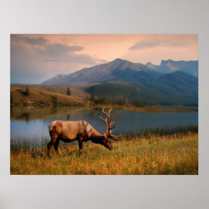 Bergen   Jacques Mountain Range Alberta Canada Poster
