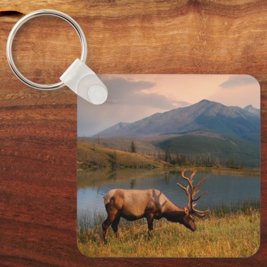 Bergen | Jacques Mountain Range Alberta Canada Sleutelhanger (Voorkant)