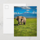 Bergen | Kilimanjaro Tanzania, Afrika Briefkaart (Voorkant / Achterkant)