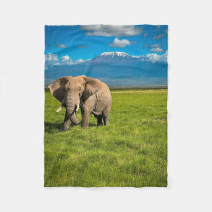 Bergen Kilimanjaro Tanzania, Afrika Fleece Deken