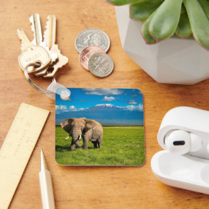 Bergen   Kilimanjaro Tanzania, Afrika Sleutelhanger