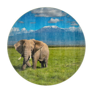Bergen Kilimanjaro Tanzania, Afrika Snijplank