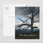 bergen met blauwe bergmassief briefkaart (Voorkant / Achterkant)