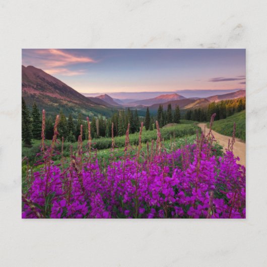 Bergen | Rocky Mountains, Colorado Briefkaart (Voorkant)