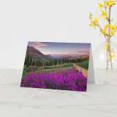 Bergen | Rocky Mountains, Colorado Kaart (Gele Bloem)