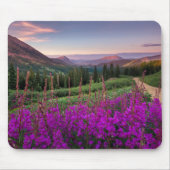 Bergen | Rocky Mountains, Colorado Muismat (Voorkant)