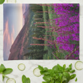 Bergen | Rocky Mountains, Colorado Theedoek (Gevouwen)