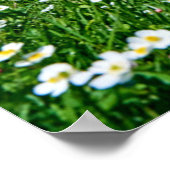 Bergen | Zwitserse vallei Poster (Hoek)