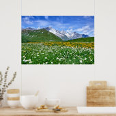 Bergen | Zwitserse vallei Poster (Keuken)