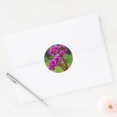 Bergenia Flower Stickers (Envelop)