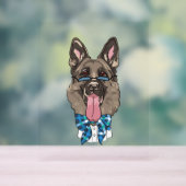 Berger allemand (Neutre)