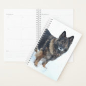 Berger Allemand (Devant avec enveloppe)