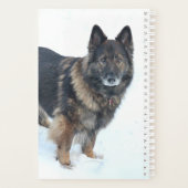 Berger Allemand (Dos)