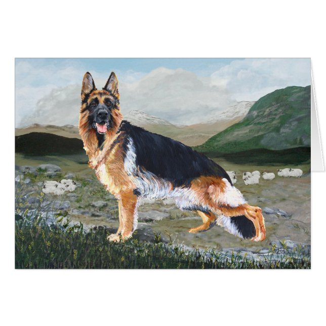 Berger allemand à l'oeuvre (Devant horizontal)