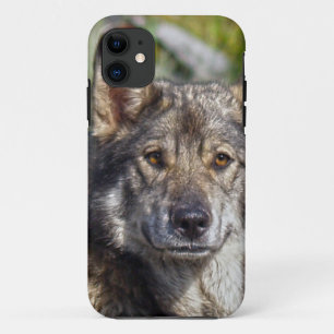 Berger allemand Alsacien Coque chien animal de com