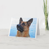 Berger allemand - Carte Chien (Dos)