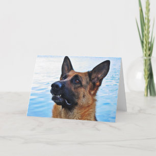Berger allemand - Carte Chien