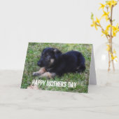 Berger allemand : Carte de jour de mères (Fleur jaune)