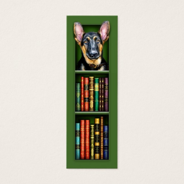 Berger allemand Chiot Signet vert (Devant)