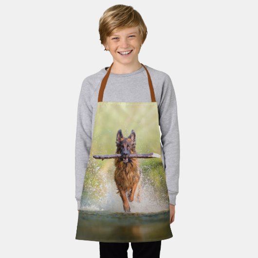 Berger allemand courant avec tablier (Porté)