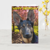 Berger allemand dans la carte d'anniversaire de (Fleur jaune)