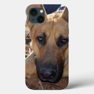 Berger allemand - Naps de chats, iPhone 13 Coque