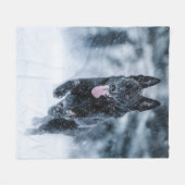 Berger allemand noir dans la couverture de duvet d (Devant (Horizontal))