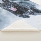 Berger allemand noir dans la couverture de duvet d (3/4)