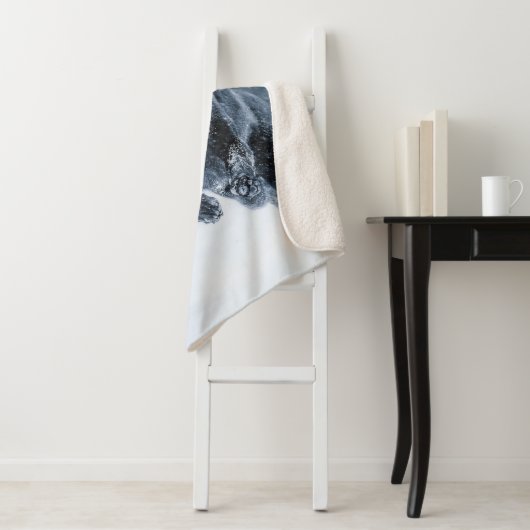 Berger allemand noir dans la couverture de duvet d (En situation)