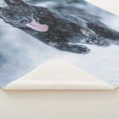 Berger allemand noir dans la couverture de duvet d (3/4)