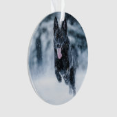 Berger allemand noir dans la couverture de duvet d (devant)